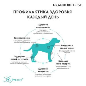Сухой корм GRANDORF Fresh Dog Adult MAXI Salm&Sweet Potato для собак крупных пород из свежего мяса лосося с бататом