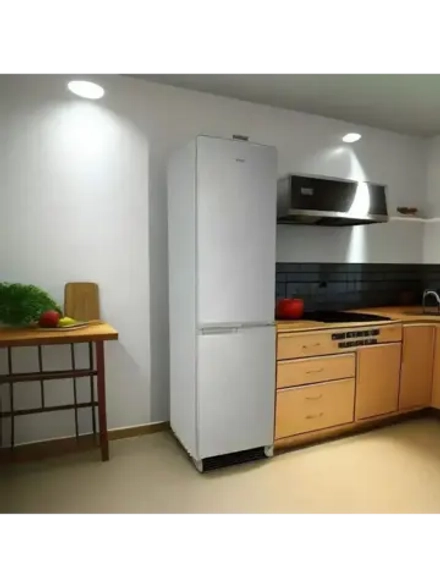 Холодильник двухкамерный R-295 MI