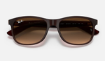 RAY-BAN ANDY RB4202 607313
