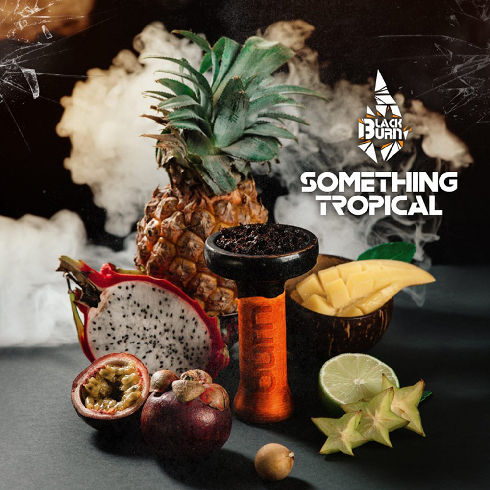 Black Burn Something Tropical (Тропические фрукты) 25 гр.