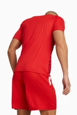 Футболка Puma teamULTIMATE