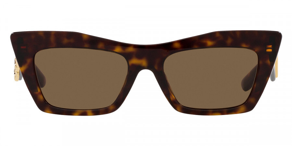 Dolce & Gabbana DG4435 502/73