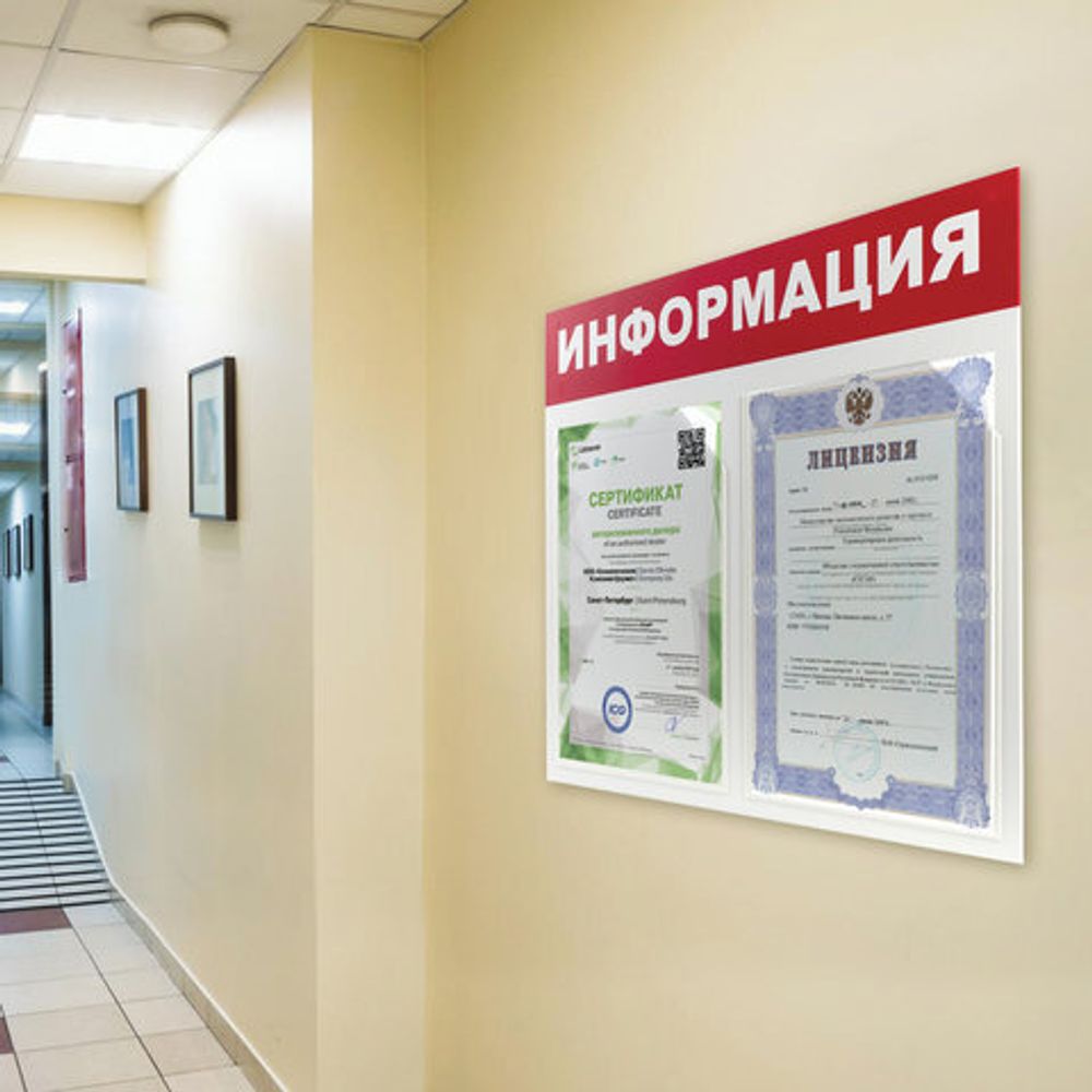 Доска-стенд "Информация" 50х43 см, 2 плоских кармана формата А4, ЭКОНОМ, BRAUBERG, 291009