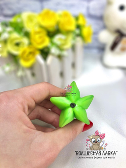 Силиконовая форма Карамбола