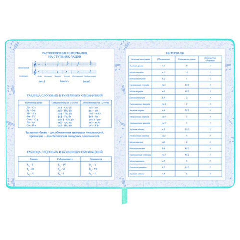 Дневник для музыкальной школы 170х215 мм, 48 л., обложка кожзам твердая, фольга, BRAUBERG, справочный материал, КОТИК, 107367