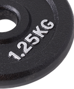 Диск чугунный BB-204 d=26 мм, черный, 1,25 кг