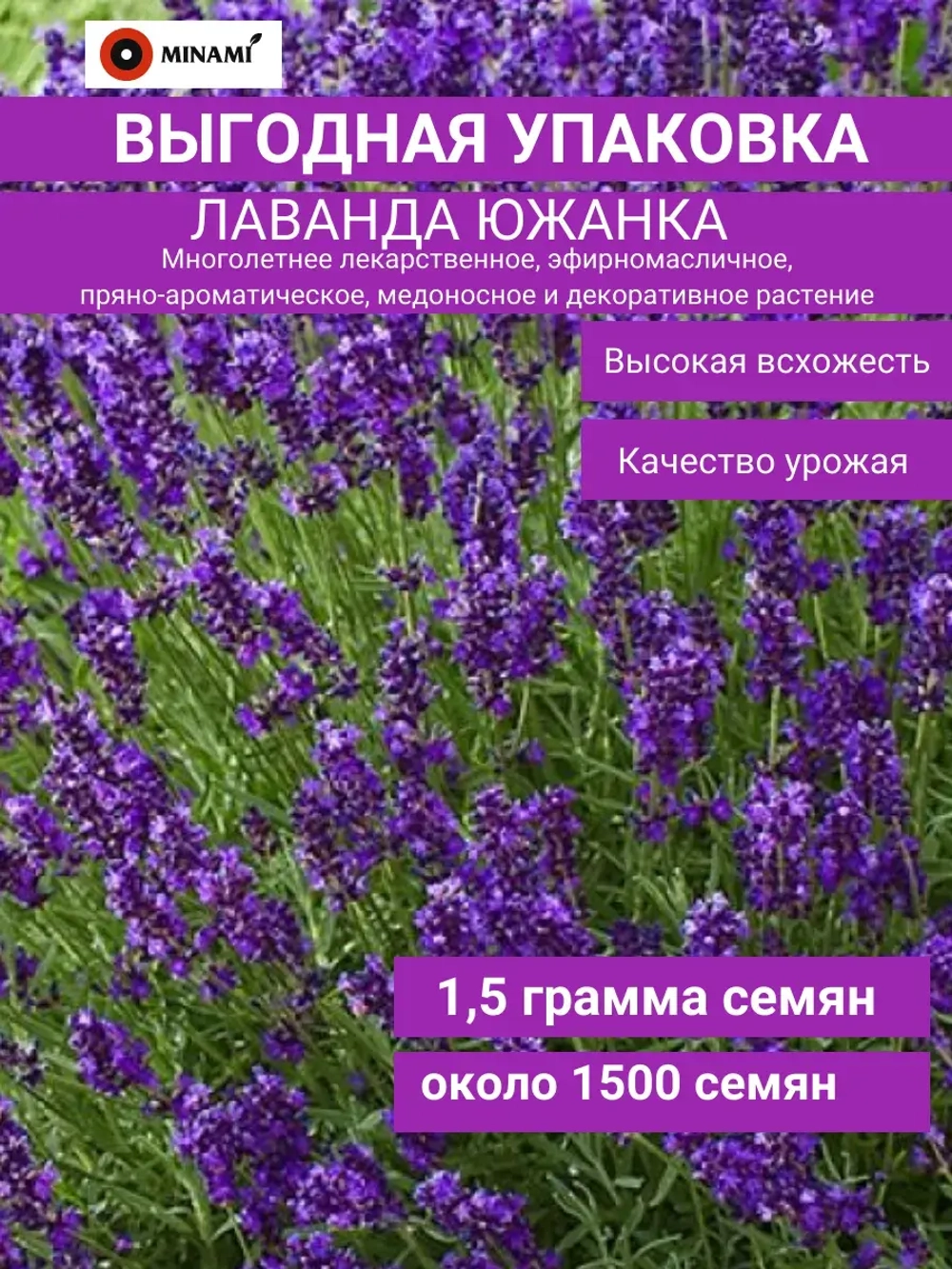 Лаванда Южанка многолетняя