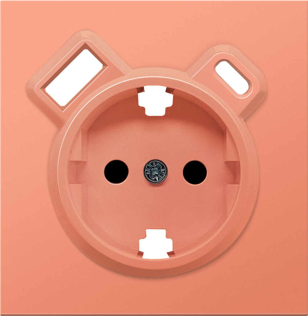 Накладка для розетки Schuko с зарядным устройством USB A+C, с защитными шторками, матовый коралл, серия R98