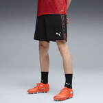Мужские шорты PUMA individualFINAL Shorts