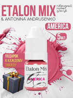 Сет пигментов для губ Etalon Mix & Antonina Andrusenko 6 шт по 5мл