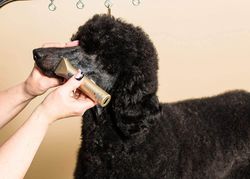 Триммер для стрижки животных Wahl miniArco (1565-0473)