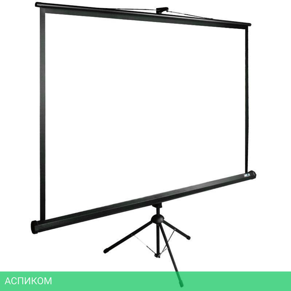 Проекционный экран Cactus CS-PSTE-220х165-BK