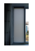 Штора рулонная полупрозрачная Лина 56x105 см, светло-серый