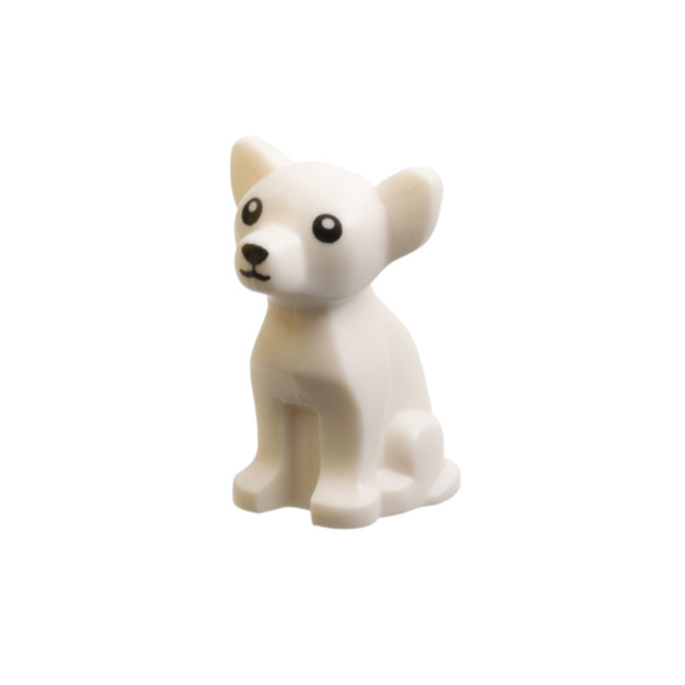 Чихуахуа 12888pb01 White