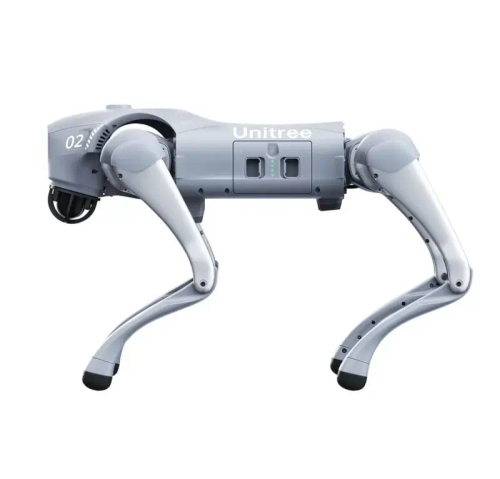 Робот-собака DG2