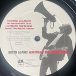 Bryan Adams - Waking Up The Neighbours 2LP (Голландия 1991г.)