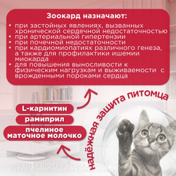 Зоокард Пчелодар Средство для лечения заболеваний сердца у кошек, 1,2 мг, таблетки, 10 шт. Рамиприл.