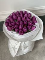 Букет из 35 фиолетовых тюльпанов