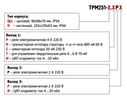 Измеритель-регулятор программный ТРМ251-Н.РРР
