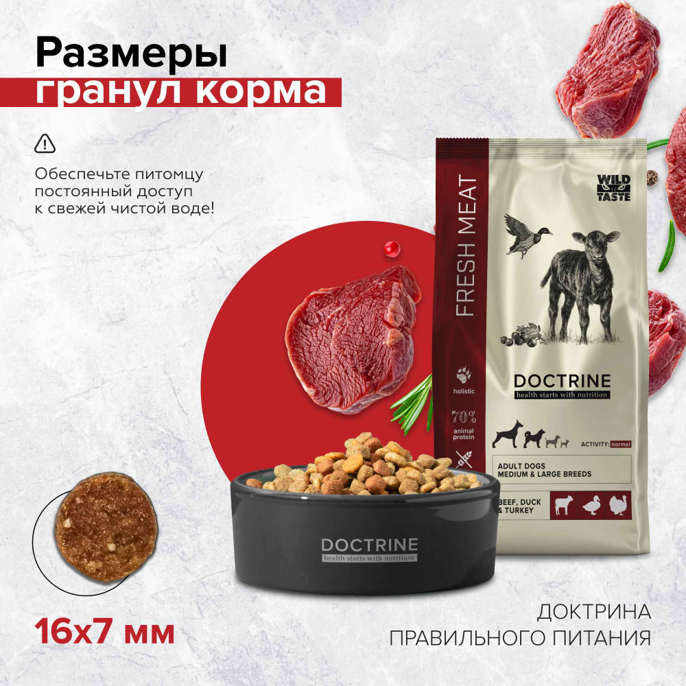 DOCTRINE (Доктрин) FRESH MEAT Сухой корм для взрослых собак средних и крупных пород с индейкой, говядиной и уткой (свежее мясо)