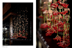 Flowers & Design. Gary Kwok