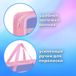 Папка на молнии с ручками BRAUBERG А4 1 отделение пластик 80 мм "Meow" (3 штуки в упаковке)