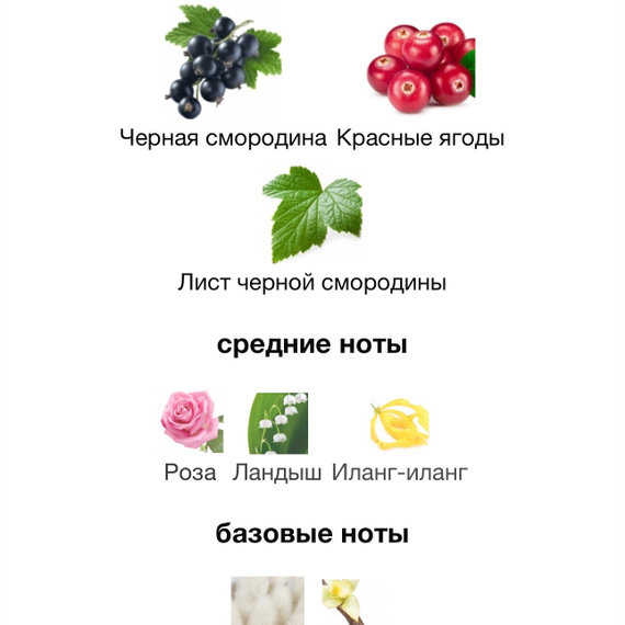 PARFUMS DE MARLY Meliora