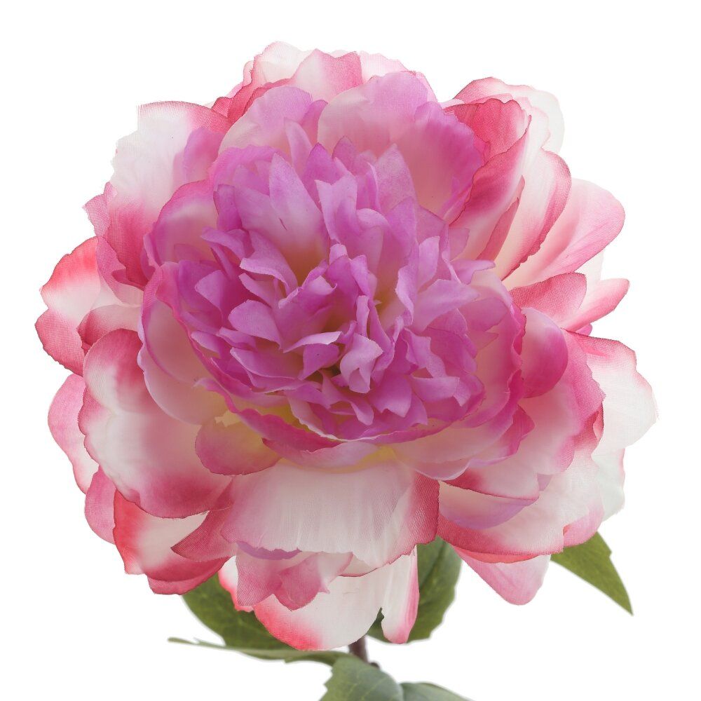 GAEM Цветок искусственный "Пион", L16 W16 H59 см