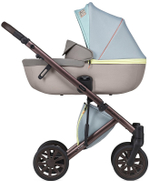 Детская коляска Anex e/type 2 в 1 wilson