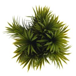 GAEM Цветочная композиция, L15 W15 H18 см