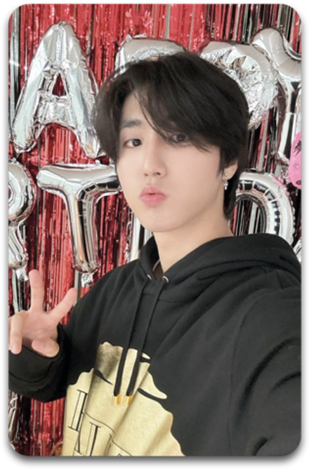 Карта / STRAY KIDS #1733