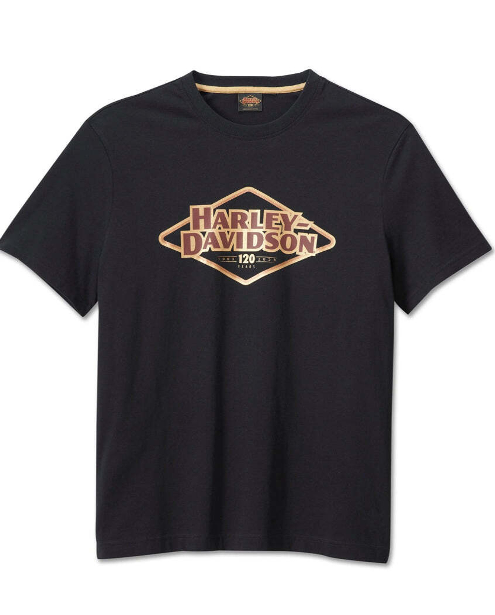Футболка Black Beauty Harley-Davidson 120th Anniversary