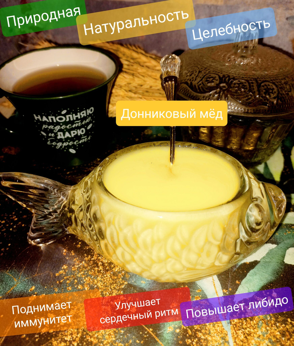 Мёд Донниковый натуральный, 2024, 2,800 кг / 2 литра