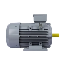 Электродвигатель ESQ PR 160 MA2-SDN-Б1-S12-IE2 11/3000 IMB3