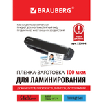 Пленки-заготовки для ламинирования формат малый (54х86 мм) комплект 100 шт. 100 мкм BRAUBERG (6 штук в упаковке)