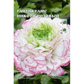 Другие луковичные и клубневые