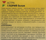 Астра Глория белая 0,2 г хризантемовидная СМЦ-449
