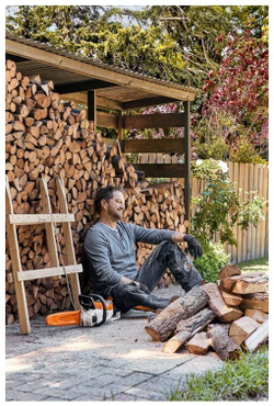 Аккумуляторная пила STIHL MSA 140 C-BQ SET 12540115858 0.9 л.с 36 В/4.8 А·ч