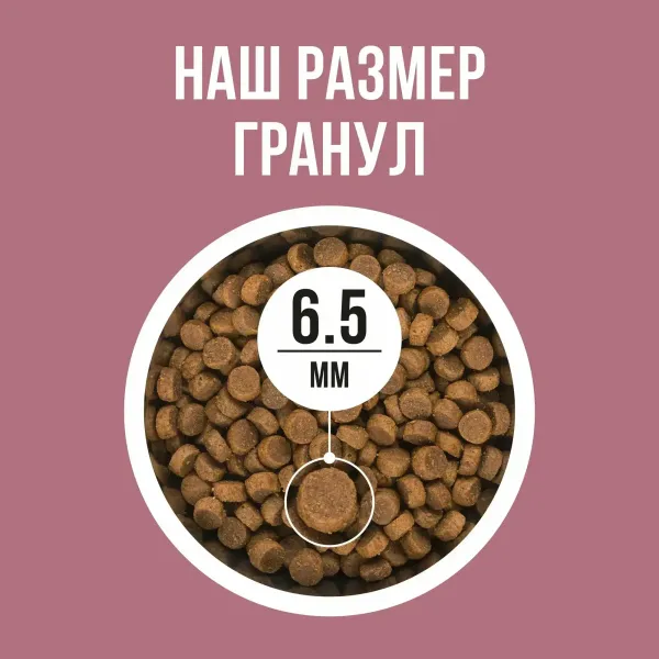 Уценка! Повр.упак. / Сухой корм BOWL WOW для стерилизованных кошек с индейкой и свеклой