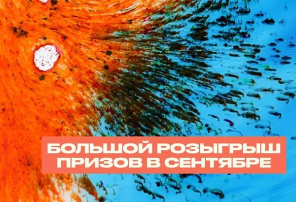 Большой розыгрыш призов в сентябре