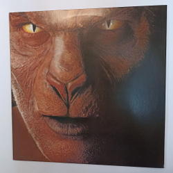 Винтажная виниловая пластинка LP John Fogerty Eye Of The Zombie (Japan 1986)