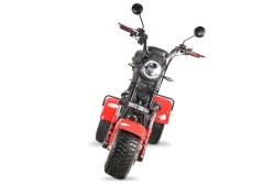 Электротрицикл WHITE SIBERIA Ikra 5000W