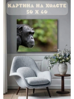 Картина на стену 40 X 50 Обезьяна