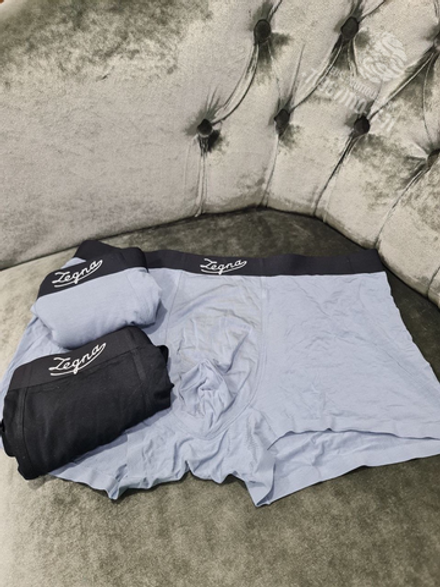 Боксеры Ermenegildo Zegna