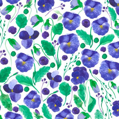 Акварельные синие цветы анютины глазки, фиалка.