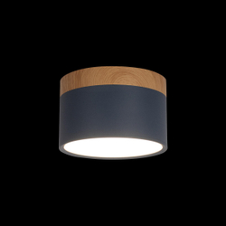 10162 Blue Накладной светильник LOFT IT Grape