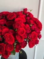 Пионовидная кустовая роза в красном оттенке