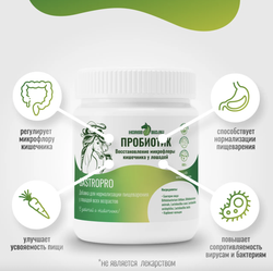 Подкормка ПРОБИОТИК GastroPro для лошадей Horse-Bio, 800 г