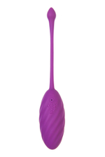 Фиолетовое силиконовое виброяйцо Purr (Цвет: фиолетовый)