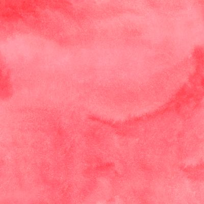 Лепестки розы